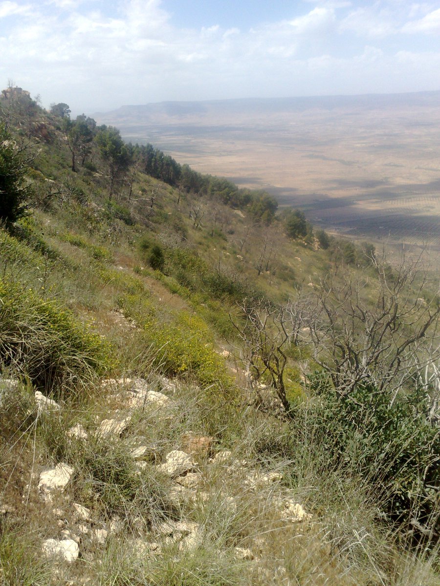 SmidaSamali's tweet image. LE 13 MAI 2018 ,DANS LA MONTAGNE SALLOUM ,KASSERINE TUNISIE.
