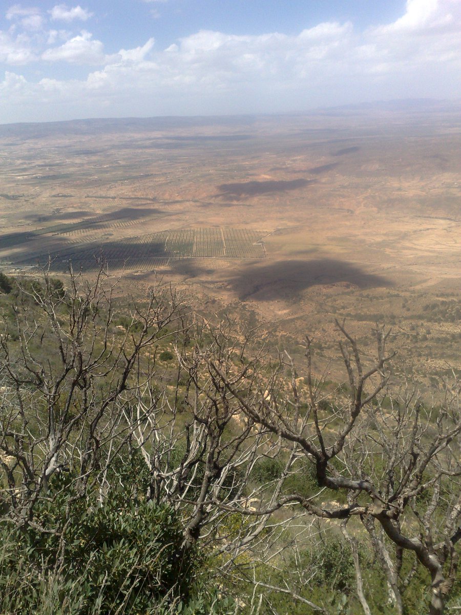 SmidaSamali's tweet image. LE 13 MAI 2018 ,DANS LA MONTAGNE SALLOUM ,KASSERINE TUNISIE.