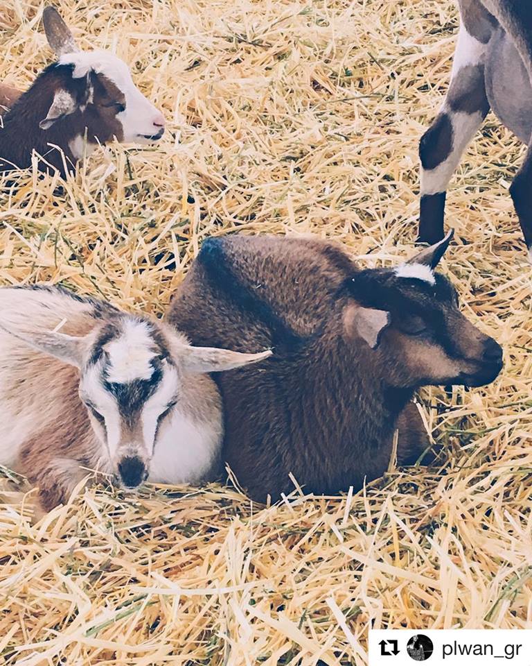 Explore Butte County tweet media