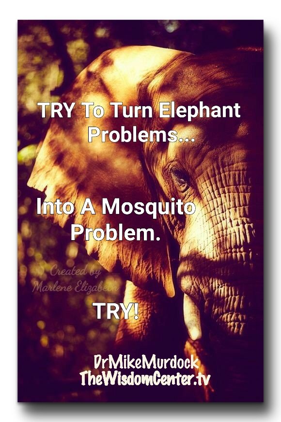 palmofhand's tweet photo. #ElephantProblems🐘
#MosquitoProblem
@drmikemurdock https://t.co/OMfsFEzc9m
