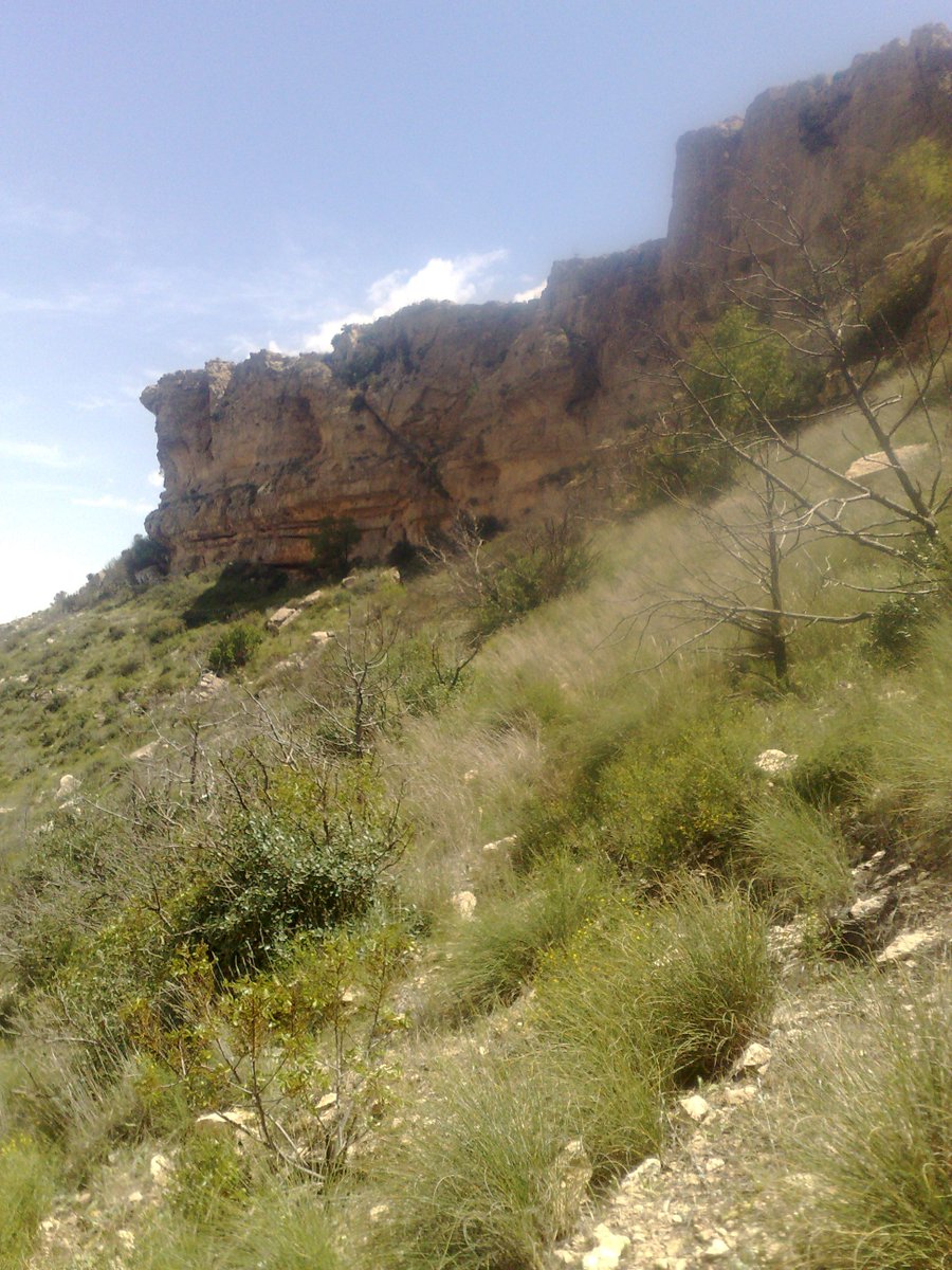 SmidaSamali's tweet image. 