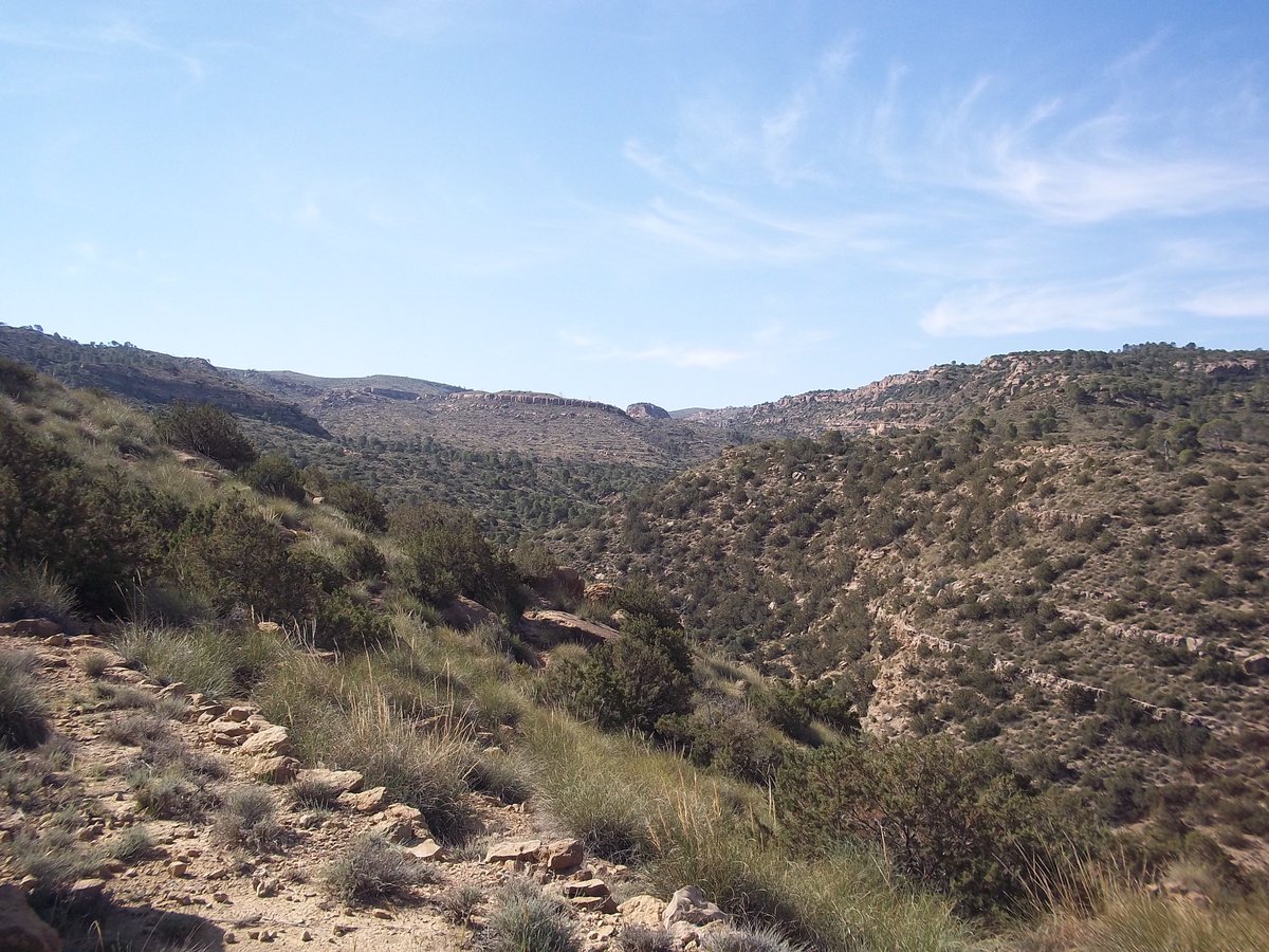 SmidaSamali's tweet image. 