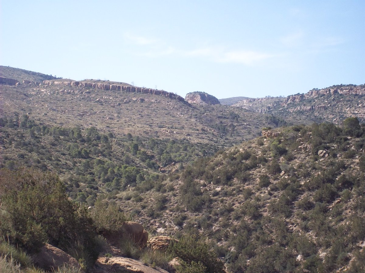 SmidaSamali's tweet image. 