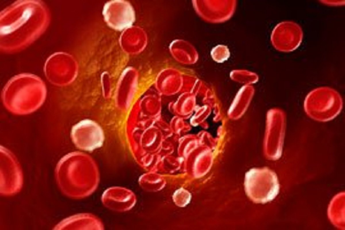 download Praxis LWS Erkrankungen: Diagnose