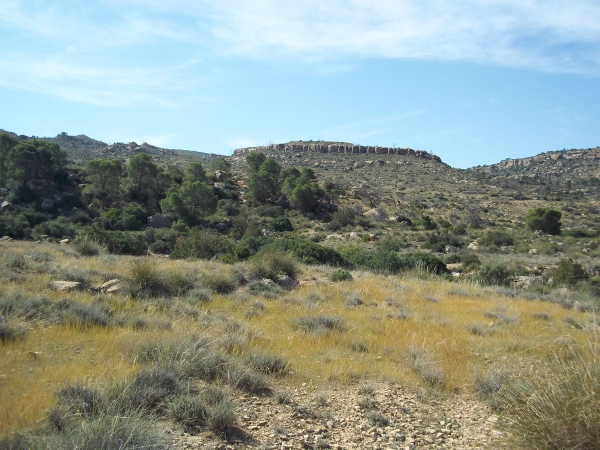 SmidaSamali's tweet image. TERMINEE POUR AUJOURDHOUI NOUS POURSUIVONT NOTRE VOYAGE ET NOTRE PUBLICATION ,POUR UNNE AUTRE OCCASION.MERCI MES AMIS