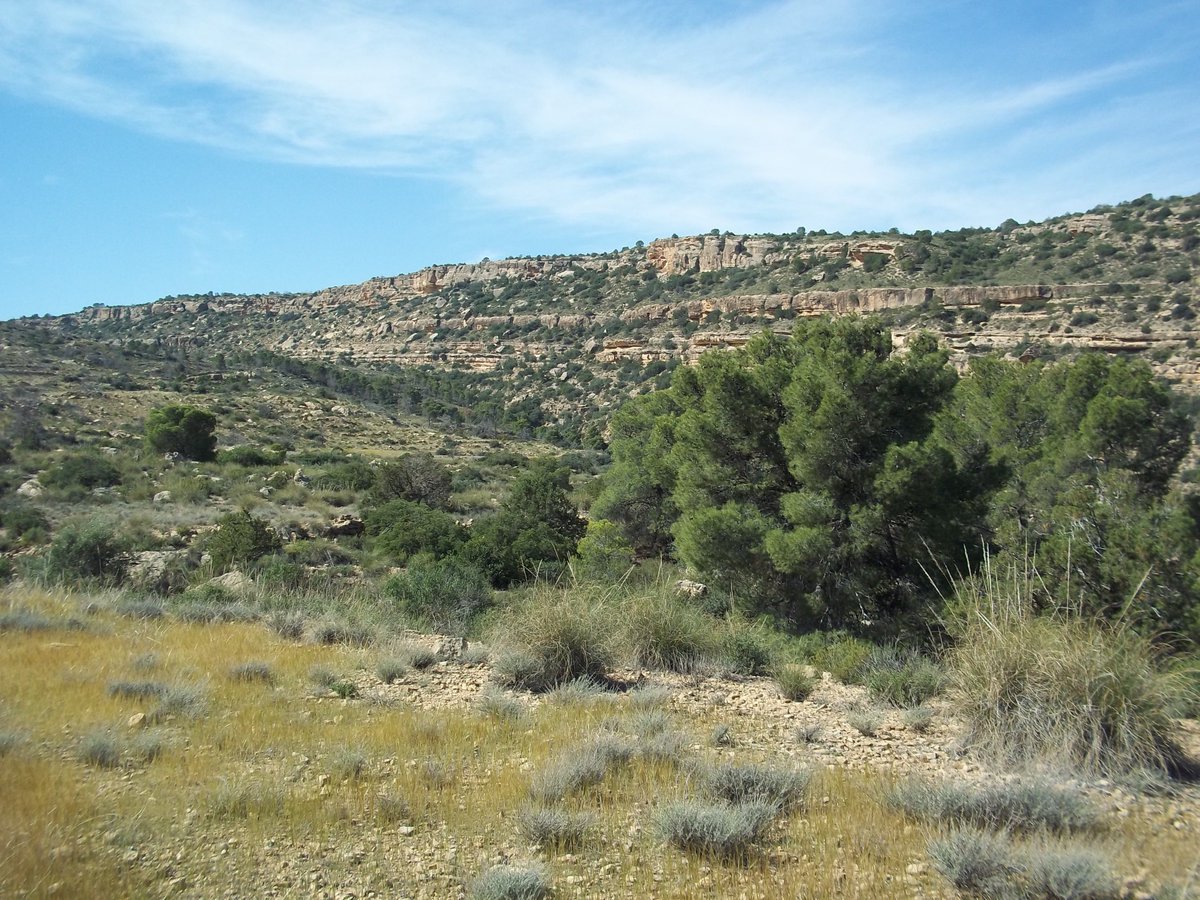 SmidaSamali's tweet image. TERMINEE POUR AUJOURDHOUI NOUS POURSUIVONT NOTRE VOYAGE ET NOTRE PUBLICATION ,POUR UNNE AUTRE OCCASION.MERCI MES AMIS