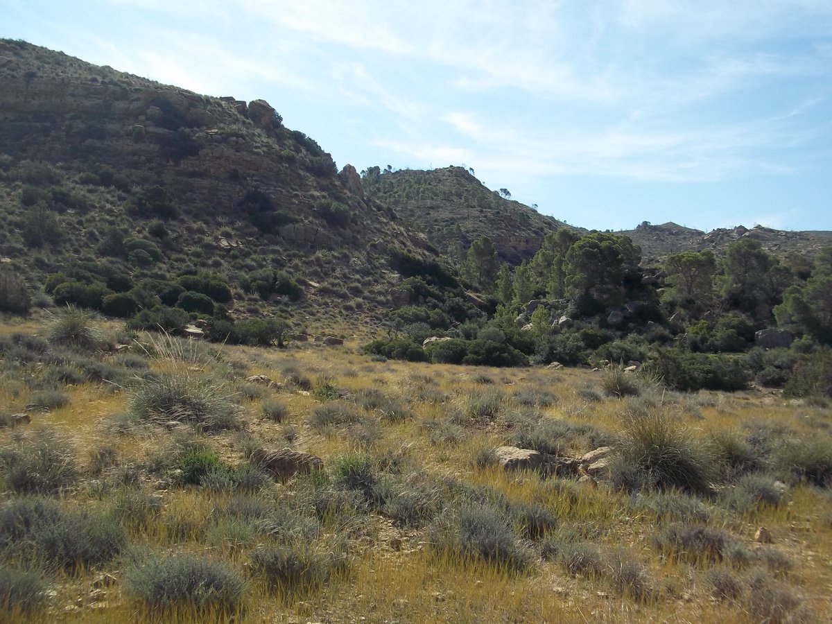 SmidaSamali's tweet image. TERMINEE POUR AUJOURDHOUI NOUS POURSUIVONT NOTRE VOYAGE ET NOTRE PUBLICATION ,POUR UNNE AUTRE OCCASION.MERCI MES AMIS