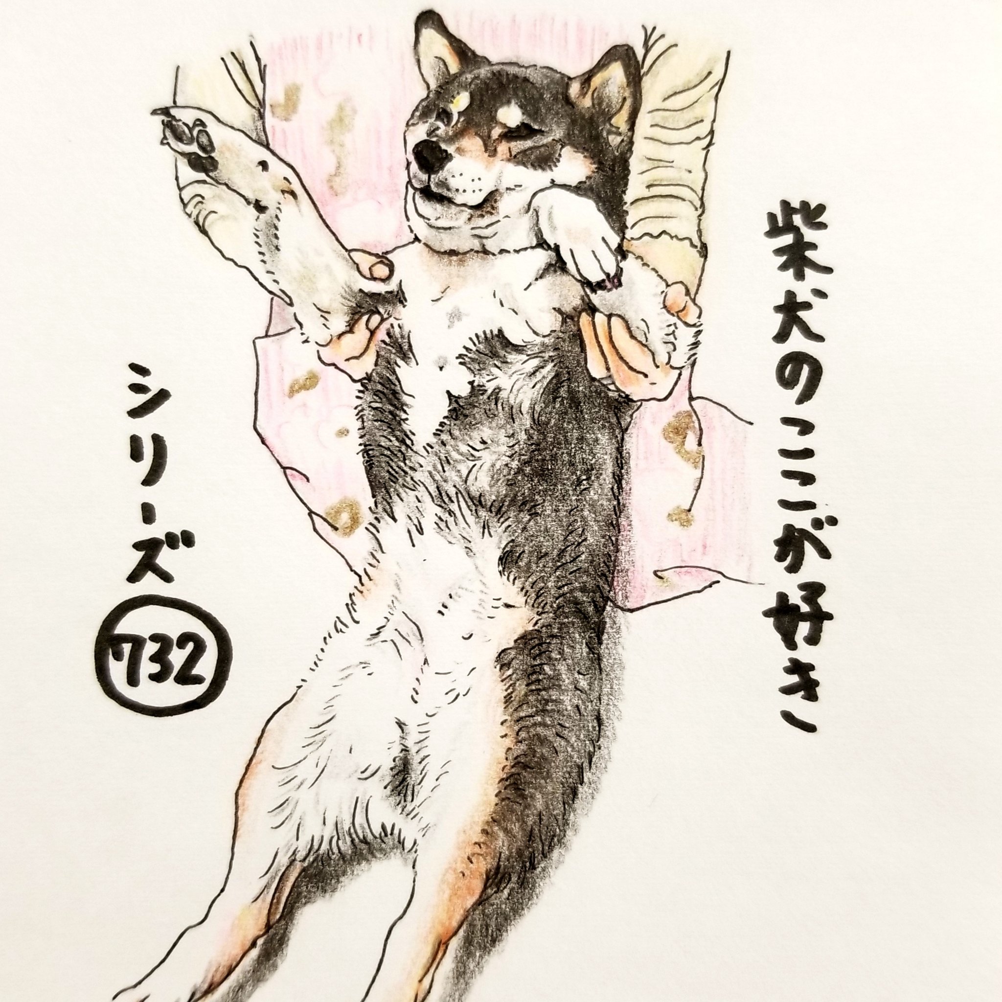 ここ柴 うしろ足が ピーンてなるツボがあるとこ 全身伸びてるときあるね 無防備になってくれる喜び 柴犬のここが好き ここ柴 柴犬 イラスト 黒柴 T Co 9ogujgsmqh Twitter