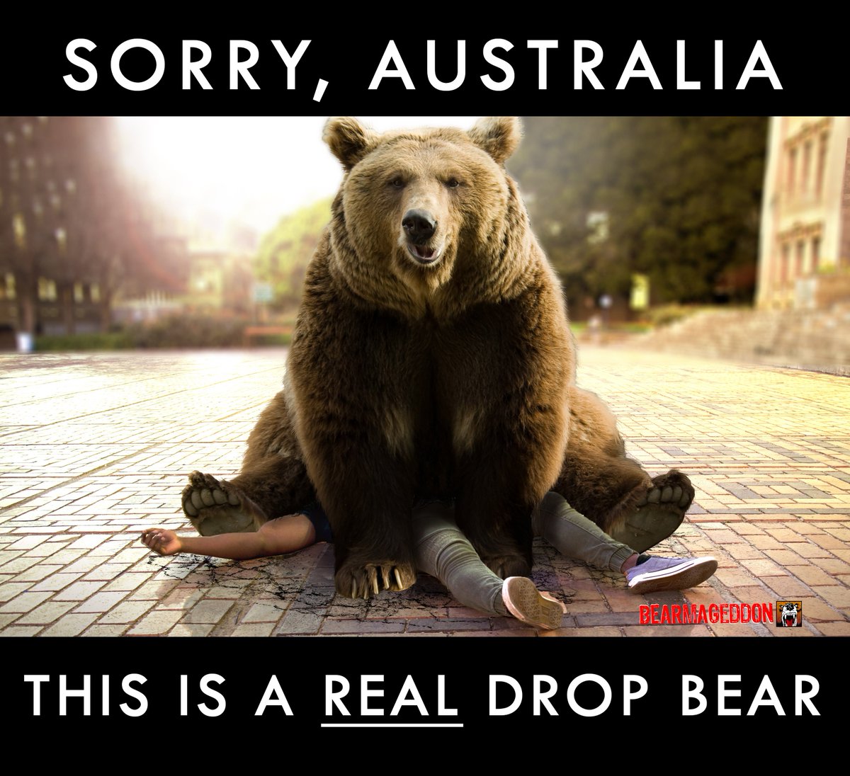 Our drop bears kill on impact.