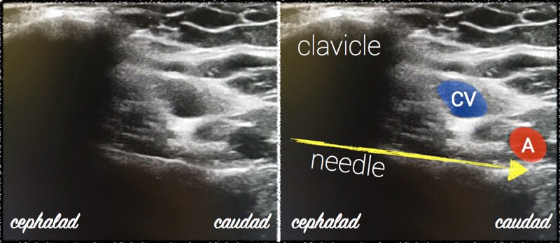 Maggie Holtz, MD tweet media