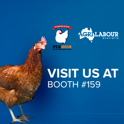 ALAWorkforce's tweet photo. We'll be exhibiting at the #PIXAMC2018 Conference on the Gold Coast from June 3-5. You can find us at stand 159. Looking forward to connecting with new poultry and milling operators and hearing from industry innovators. https://t.co/cmUFZxiwIK