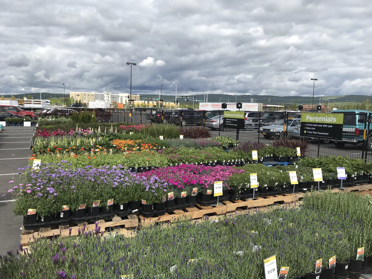 JStorrs91's tweet photo. Fairbanks Alaska ready for spring! Awesome looking display of live goods at this store. Bring on the ☀️☀️☀️@EricWalkerHD @HDPlants @Haydnchilcott @BlankenshipSB https://t.co/qFmSuigdck