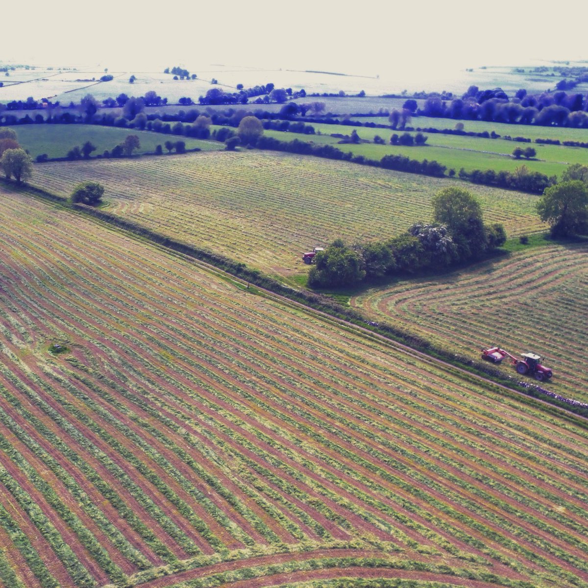 DiarmuidMurray1's tweet photo. #silage2018 is a go #livingthedream https://t.co/HYtVS8vtzL