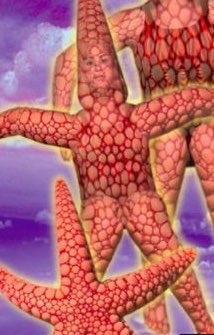 McKriddle's tweet photo. #Animorphs https://t.co/EOlxgr8QLx