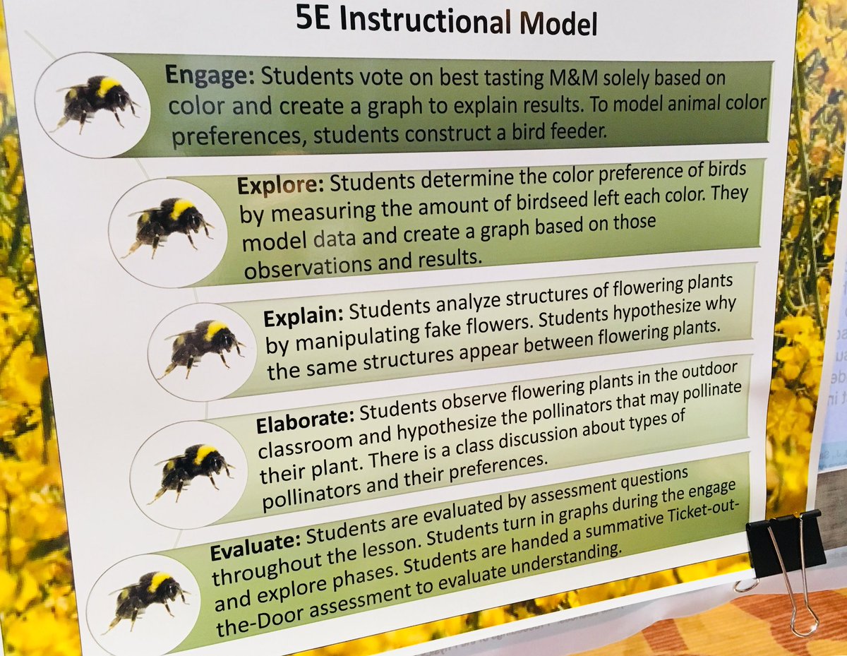 UTeachAlumni's tweet photo. The 5 BEE Instructional Model!!! 🐝 Great student poster by Aubrea Martin of @OSUTeach #uteachconf https://t.co/cta78d45YS