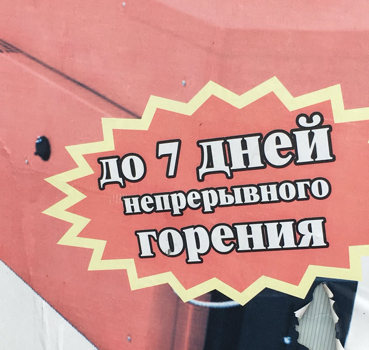 глупый всякий. цитаты про гордость в отношениях. обожаю людей с которыми чувствуешь. книга «хорошенькие не умирают». глупость юмор.