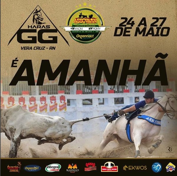 portaldoequino's tweet image. É Amanhã !!!
Super vaquejada do @harasgg valendo pelos circuitos @assovarn e @anqm 

#HarasGG #Assovarn #Anqm #Nqmv #vaquejada #cavalo #portaldoequino