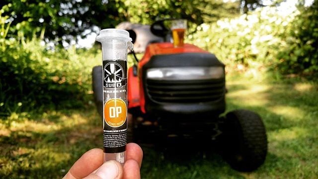 Buds_SOS's tweet photo. My charriot awaits. Sub X's Orange Poison and a brew will see me thru ☀️ @subduedexcitementwa
.
.
.
#cultivatingconnoisseurs #pnw #dopemagazine #bellingham #ferndale #seattle #washington #indica #sativa #hybrid #cannabis #weshouldsmoke #nwleaf #weeds… https://t.co/XpVXSap1in https://t.co/CNLRv9oikR