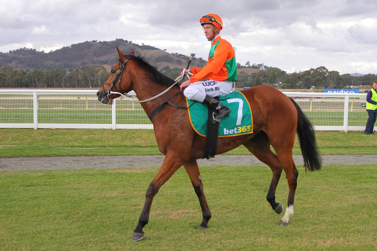 RacingVictoria's tweet photo. Great news that @jack_hill25 has been released from hospital, hope the rehab goes well and we look forward to seeing you back in the saddle very soon https://t.co/xqd6dk63ON