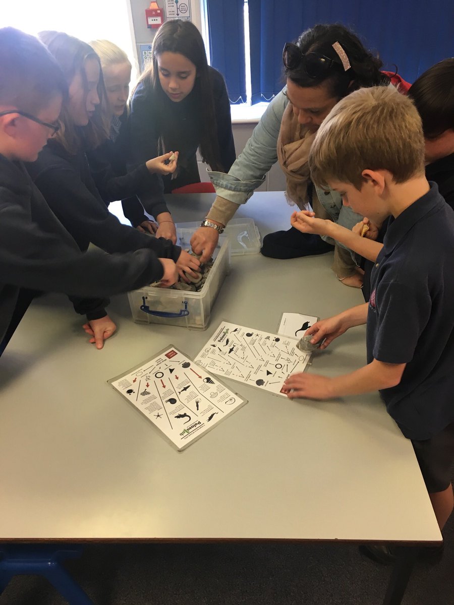 STAClassChad's tweet photo. We had a great Open Afternoon led by @palaeolab learning all about fossils and bones- thank you for a great afternoon @juleslhoward #teamstannes https://t.co/7qxuVFg62J