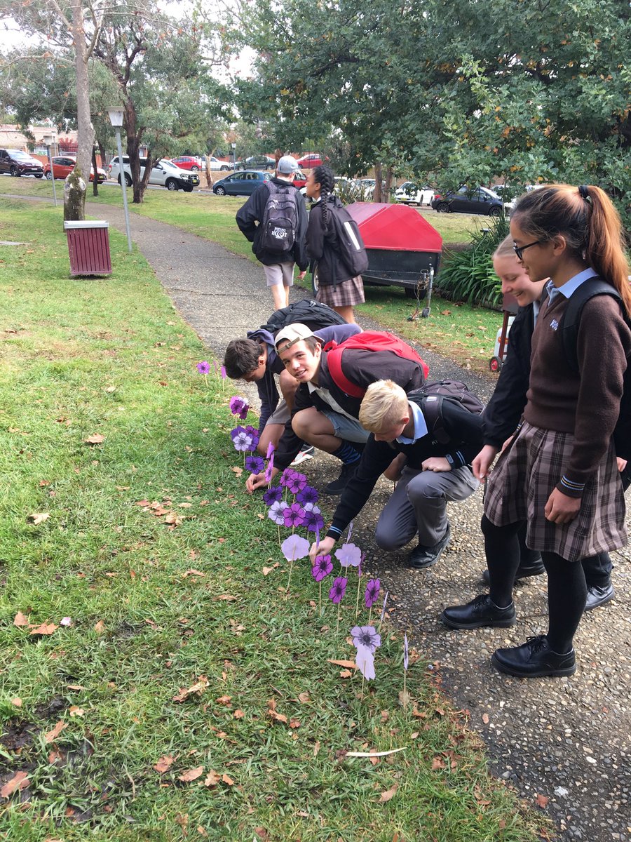 Students planting flowers along path at Karabar HS for Sorry Day.