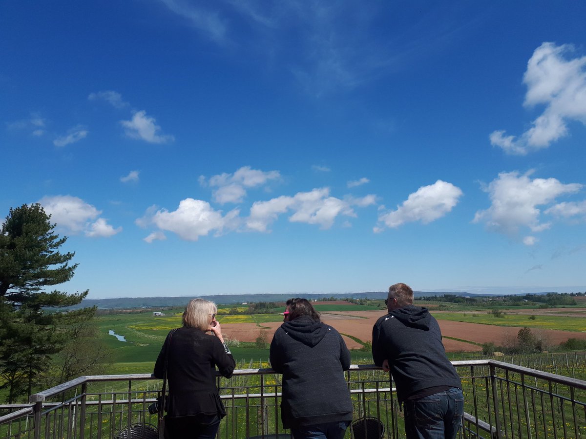 GoNorthWineTour's tweet photo. The view at @PlantersRidge doesn't get much better than this! #nswine #bookawinetour https://t.co/NGjWHgWarM