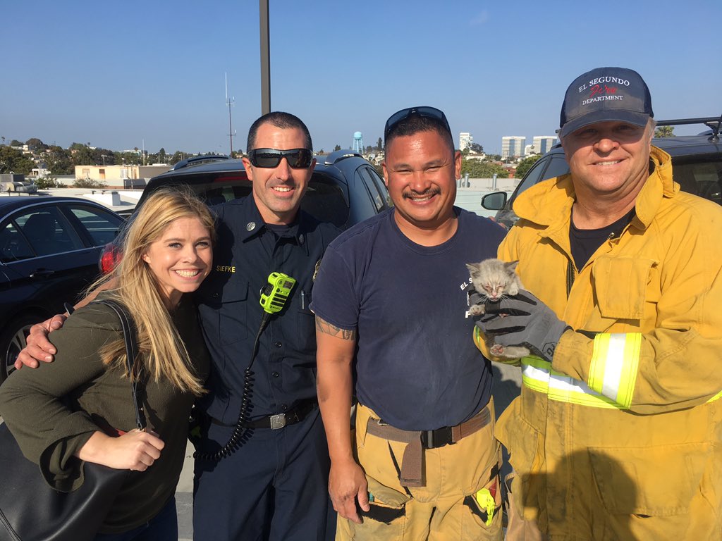 dept_el's tweet photo. Thanks to an alert citizen, Engine-31 was able to successfully rescue a kitten that was trapped in the engine compartment of an SUV. #allrisk https://t.co/bgONZLswBJ