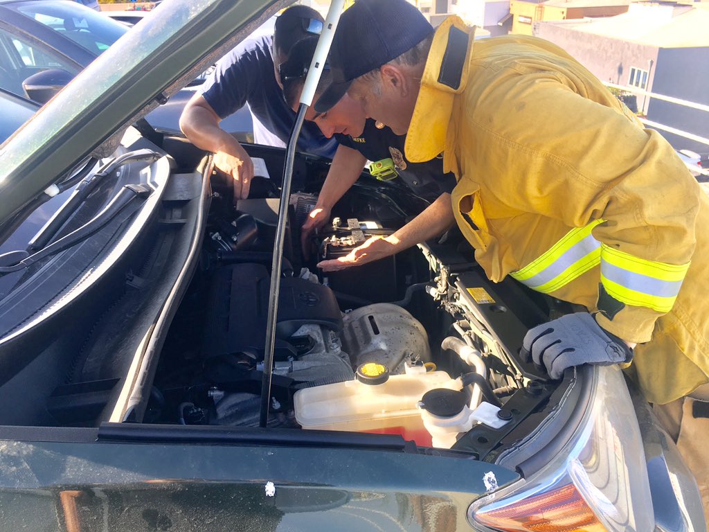 Thanks to an alert citizen, Engine-31 was able to successfully rescue a kitten that was trapped in the engine compartment of an SUV. #allrisk