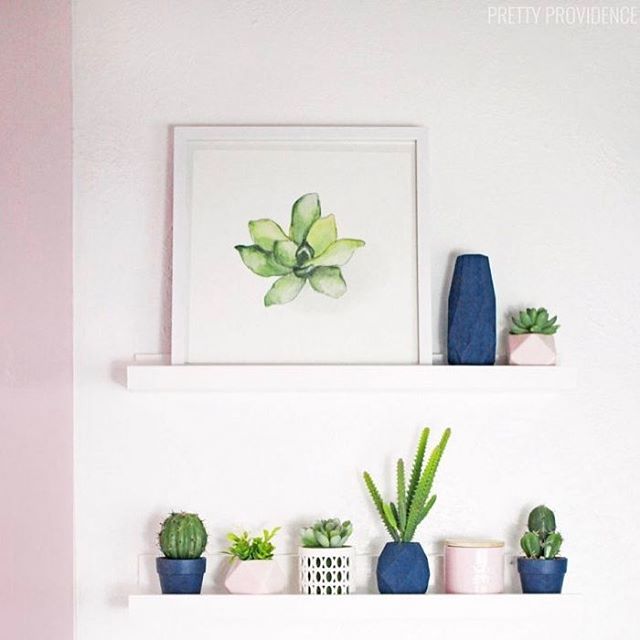 prettyprovidnce's tweet photo. Basically nothing makes me happier than a shelf with some succulents on it. It’s the little things!
#ppsarah #shelfie #abmlifeiscolorful #abmathome #bhghome #ohwowyes #sodomino #targetstyle #behr https://t.co/rAmMS8j7Od https://t.co/9fj63ge3mI