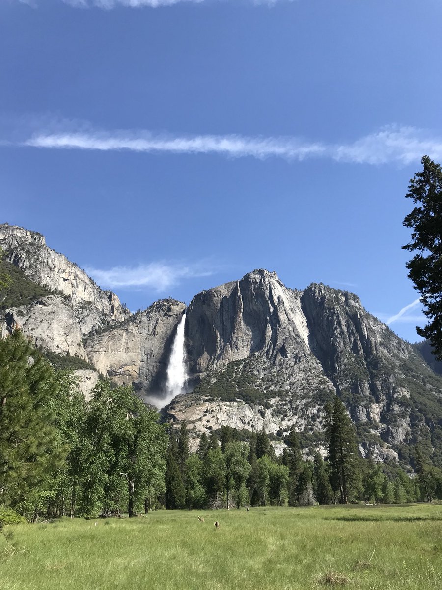 mt_stuart's tweet image. An age old friend Lost Arrow Spire with Yosemite falls!#Yosemite #lostarrowspire#yosemitefalls