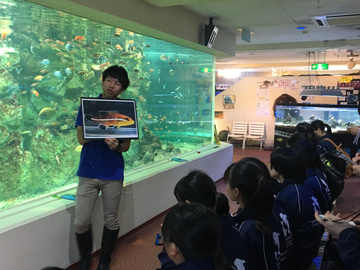 名古屋eco動物海洋専門学校 ドルフィントレーナー専攻 水族館アクアリスト専攻1年生 水族館実習1日目の様子をまとめて紹介 Nca 名古屋 Eco 動物 ドルフィン アクア