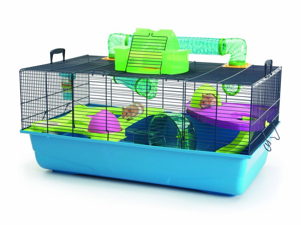 hlstronggg's tweet photo. fuck you and your hamster house i'll fuck your hamster's spouse https://t.co/v0MJeg3sPK
