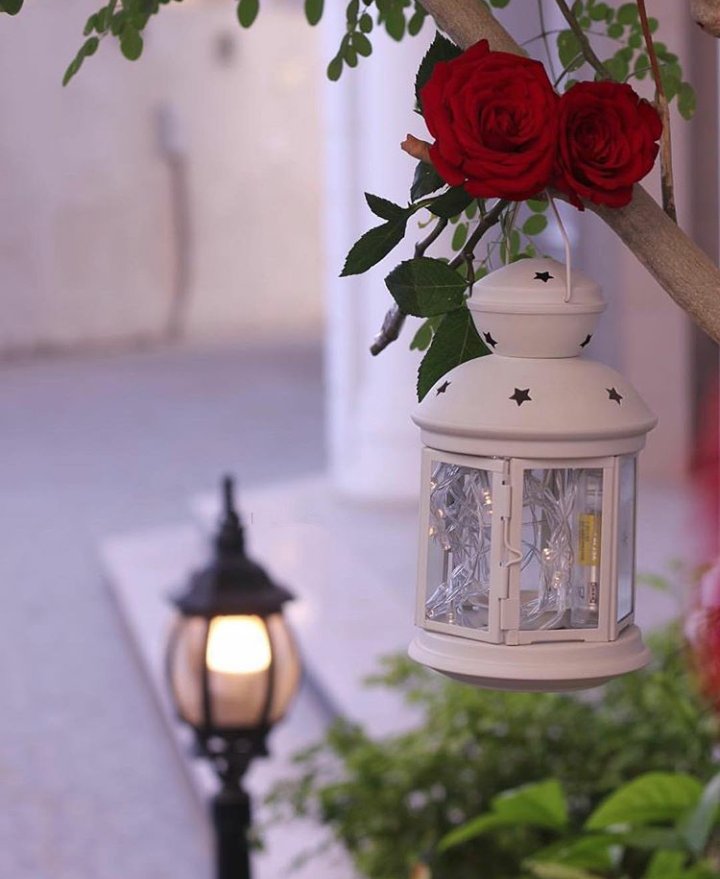 halaa3333's tweet photo. صبحكم ربي بكل خير أعزائي... https://t.co/Z7Hlm5Lhaq