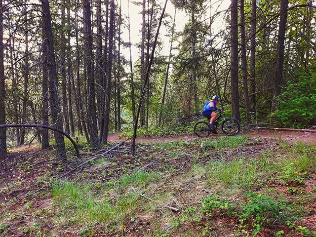 pentictoner_oz's tweet image. Working hard on a hot afternoon above the valley. #testofhumanity #bikepenticton #bikesummerland ift.tt/2GHklDH