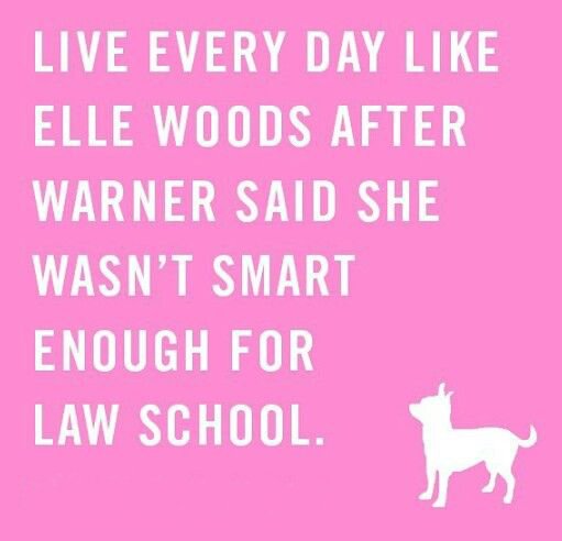 legally blonde the musical quotes