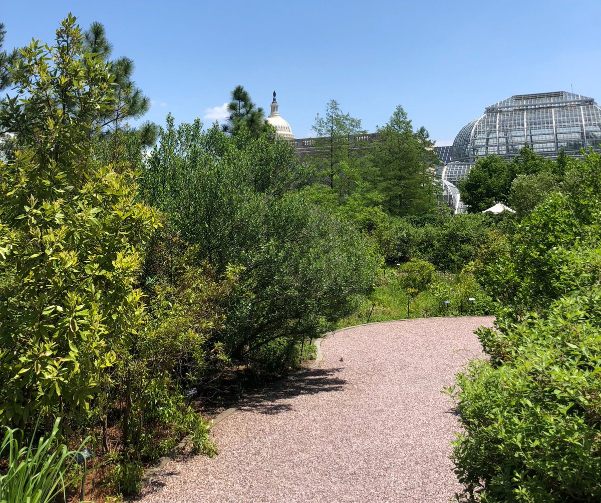 sflis1's tweet image. So green now you can barely see the dome #usbotanicgarden #springorsummer