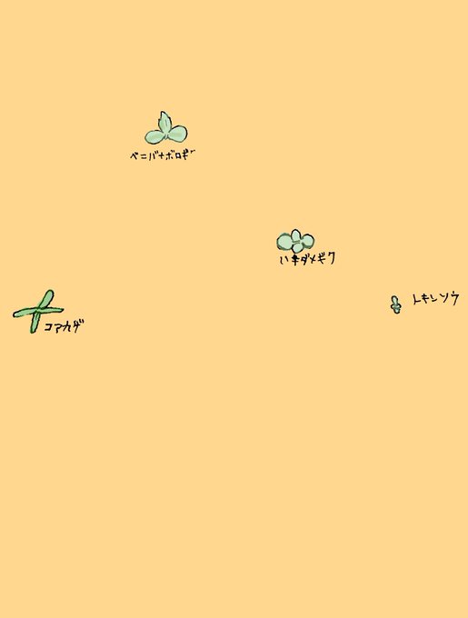 身近な雑草の芽生えのtwitterイラスト検索結果 古い順