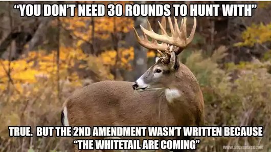 Tactical_review's tweet photo. As par for the course, the #wacky #liberal left does not understand the #2ndAmmendment or what it is for.
#LiberalLogic #2ADefenders #2AShallNotBeInfringed https://t.co/gYPkDXey0t