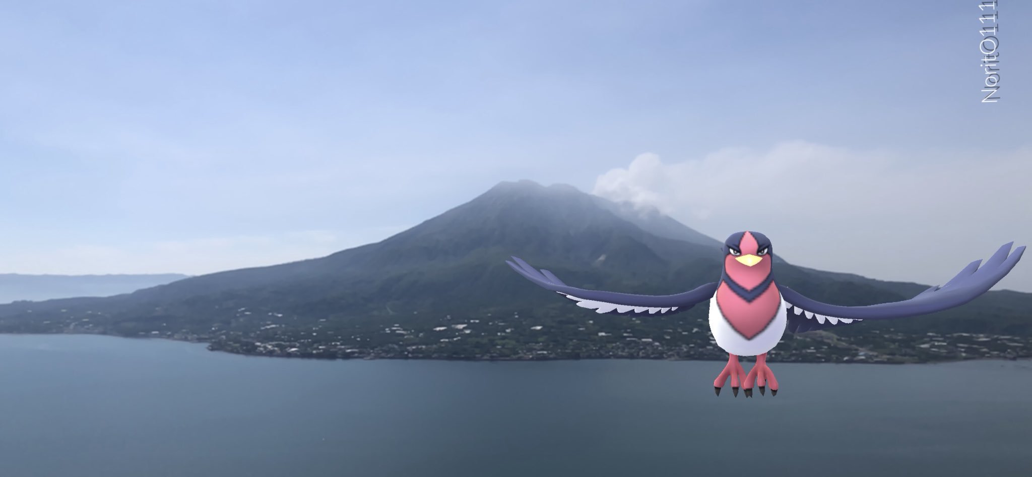 ノア ポケモンgo 剣盾 Nooori90 Twitter