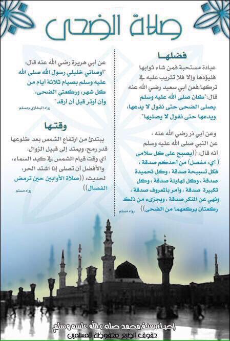 صلاة الضحى🌻