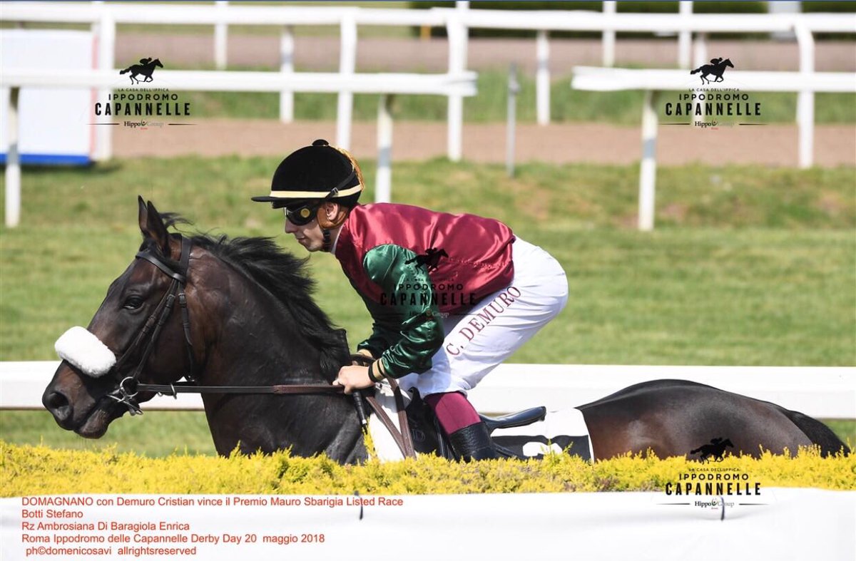DOMAGNANO #race #ROMA #winner <a href="/BaragiolaEnrica/">Enrica Baragiola</a>  #razzaambrosiana #listed #RACE