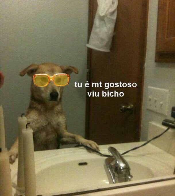 tanopapel's tweet photo. minha autoestima em 2 imagens https://t.co/gxtVfB7bl0