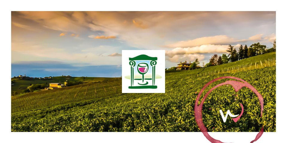 #CantineAperte in Tenuta Quvestra - Sabato 26 Maggio. 
Prenota una suggestiva passeggiata al tramonto, con #degustazioni in vigna e in barricaia e assaggio di prodotti tipici. 🍷🍇🧀 
➡️ wineplan.it/it/winery/tenu…
#oltrepopavese #winelover #winetours #wineexperience