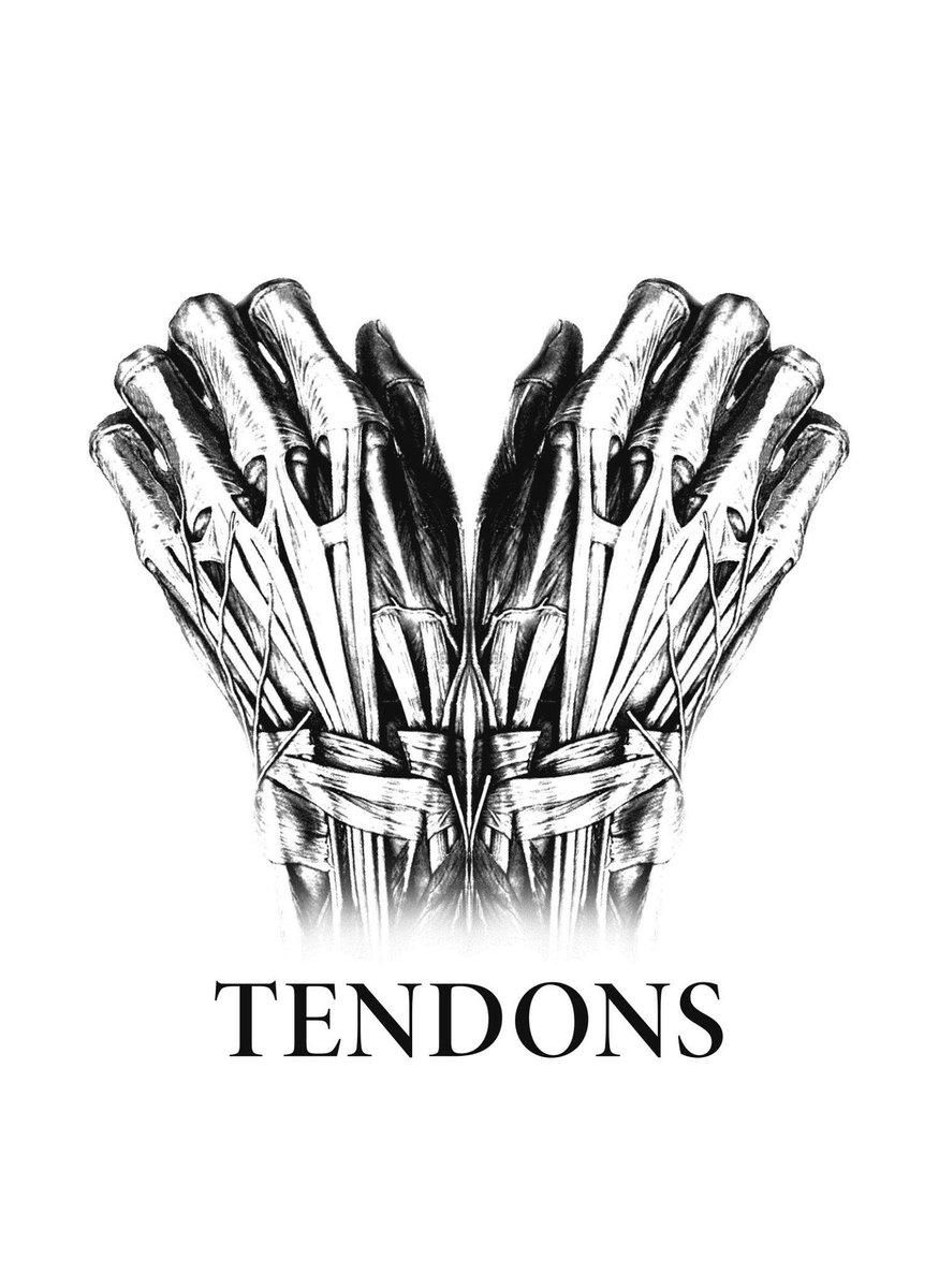 Grand Pavilion (@grandpavilion) on Twitter photo Tonight: Thu (24 May) 8pm: Tendons <a href="/TendonsMusic/">Tendons</a> <a href="/Tomos_Lewis/">Tomos Lewis</a> #Acoustic Club <a href="/GrandPavilion/">Grand Pavilion</a> #porthcawl Tix: grandpavilion.co.uk Tonight: Thu (24 May) 8pm: Tendons <a href="/TendonsMusic/">Tendons</a> <a href="/Tomos_Lewis/">Tomos Lewis</a> #Acoustic Club <a href="/GrandPavilion/">Grand Pavilion</a> #porthcawl Tix: grandpavilion.co.uk