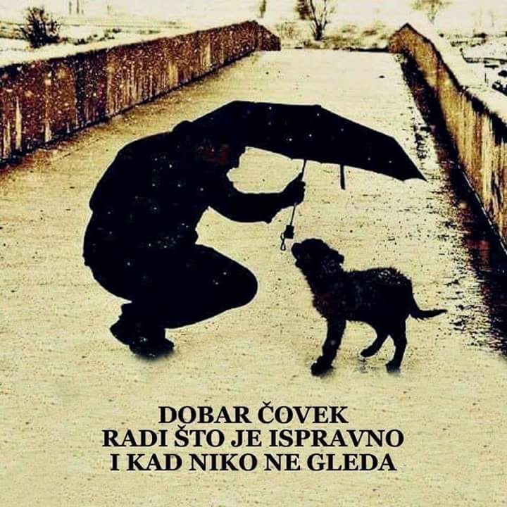 EVABROZZ's tweet photo. https://t.co/l6opkjmjbB