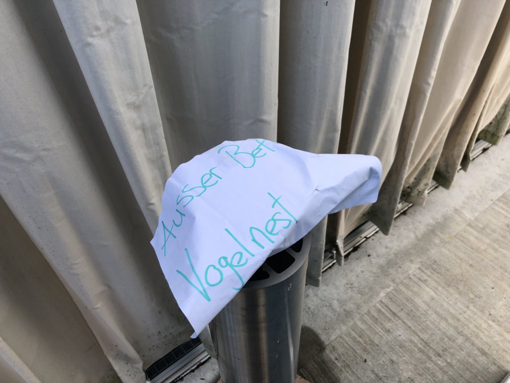 Interesting place for a bird nest 😅 #SwiNOG33