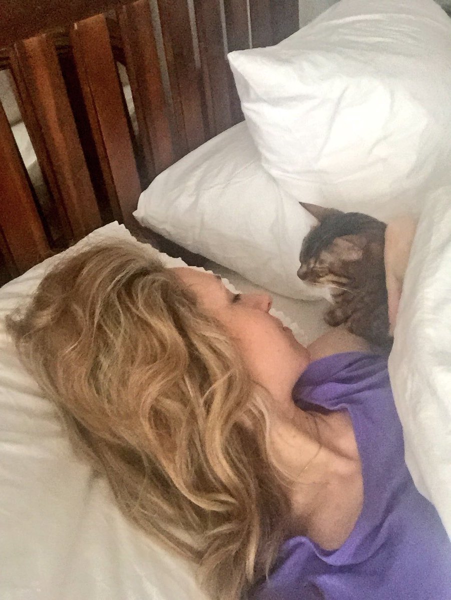 Archie_Puss's tweet photo. ...And the time that this was the snuggle Mummy woke up to #cuddlesoclock #bestwakeup #otrb #thatsmysister #sleepinginthesky https://t.co/NwYvz7o3ce