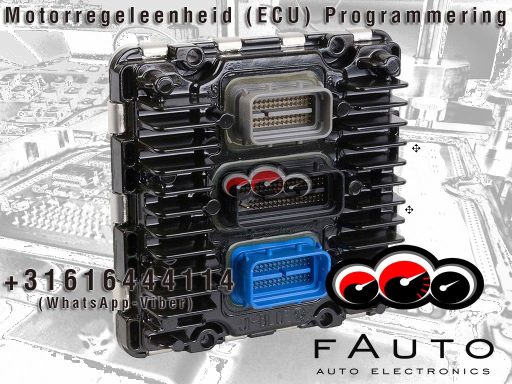 fauto19 tweet picture