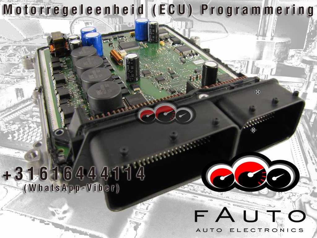 fauto19 tweet picture