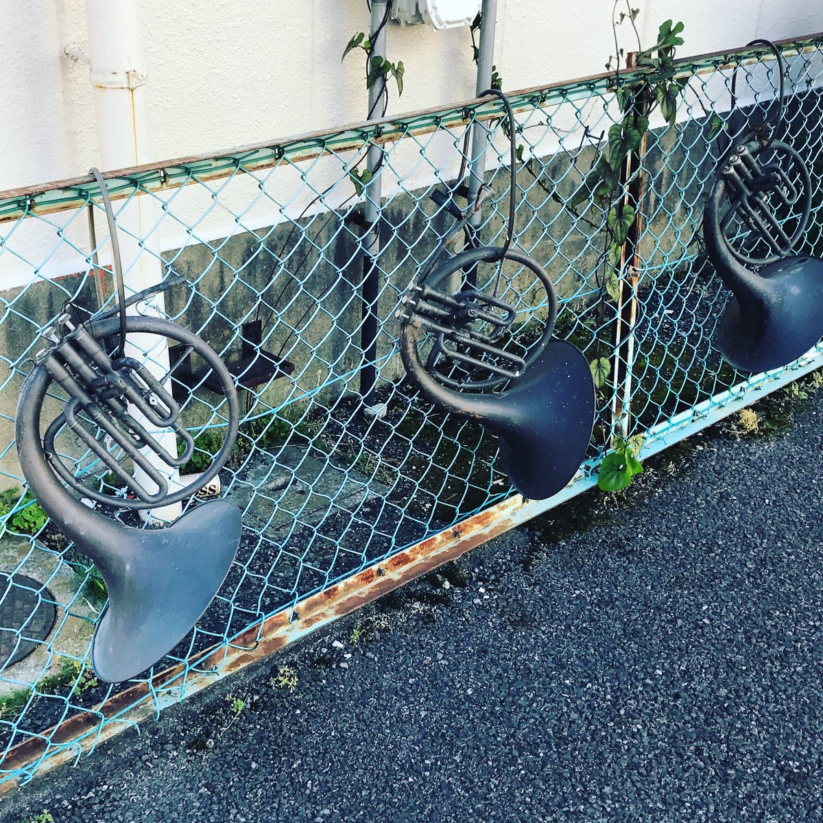 risabro's tweet photo. たしかに、ひと目で楽器屋の駐車場とはわかるのだけれど・・ぶら下がってるのがまさか本物とは思わなかった #parking #instrumentstore #mellophone https://t.co/sS9DB9OUC6